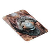 ORANGUTANS MAGNET (Rechte Seite)