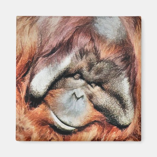 ORANGUTANS MAGNET (Vorne)