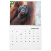 Orangutans-Mauerkalender Kalender (Feb 2027)