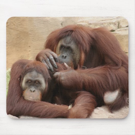 Orangutans Mousepad (Vorne)