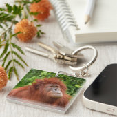Orangutans nachdenklicher Blick Schlüsselanhänger (Vorderseite rechts)