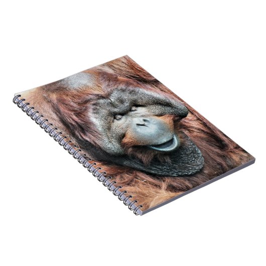 ORANGUTANS NOTIZBLOCK (Rechte Seite)