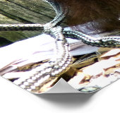 ORANGUTANS POSTER (Ecke)