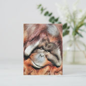 ORANGUTANS POSTKARTE (Stehend Vorderseite)