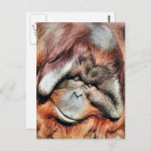 ORANGUTANS POSTKARTE (Vorne/Hinten)