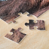 ORANGUTANS PUZZLE (Seite)