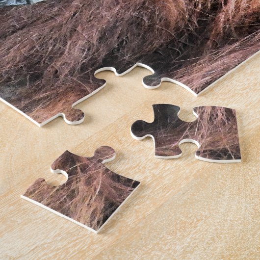 ORANGUTANS PUZZLE (Seite)