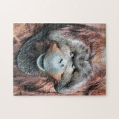 ORANGUTANS PUZZLE (Horizontal)