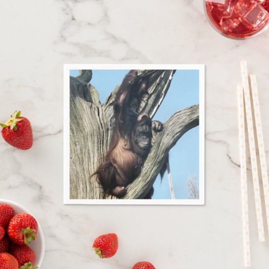 ORANGUTANS SERVIETTE (Beispiel)