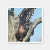 ORANGUTANS SERVIETTE (Vorderseite)