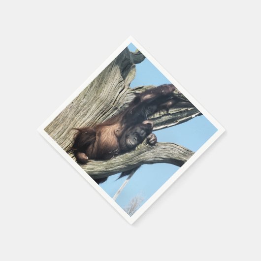 ORANGUTANS SERVIETTE (Ecke)