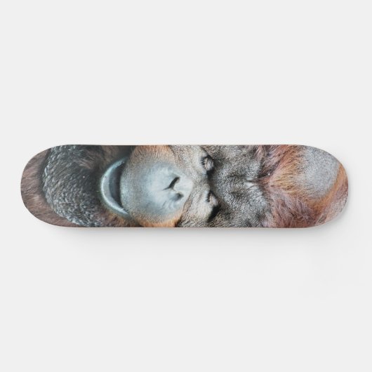 ORANGUTANS SKATEBOARD (Horizontal)