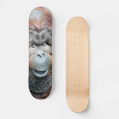 ORANGUTANS SKATEBOARD (Vorderseite)