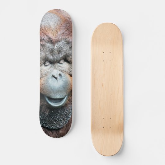 ORANGUTANS SKATEBOARD (Vorderseite)