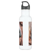 ORANGUTANS TRINKFLASCHE (Rückseite)
