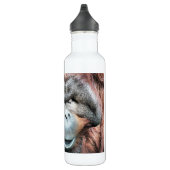 ORANGUTANS TRINKFLASCHE (Rechts)