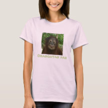 Orangutans Wildlife Fan