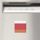 Orangy Ombre Magnet (In Situ (Geschirrspüler))