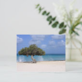 Oranjestad Postkarte (Stehend Vorderseite)