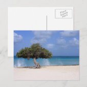Oranjestad Postkarte (Vorne/Hinten)