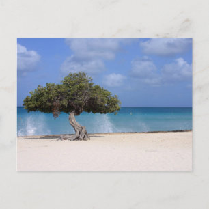 Oranjestad Postkarte