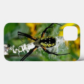 Orb Spider im Web Case-Mate iPhone Hülle (Rückseite (Horizontal))