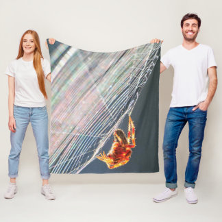 Orb Spider on Web  Fleecedecke