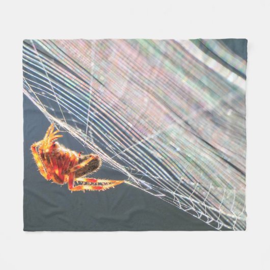 Orb Spider on Web  Fleecedecke (Vorderseite (Horizontal))