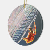 Orb Spider on Web  Keramik Ornament (Links)
