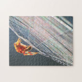 Orb Spider on Web  Puzzle (Horizontal)