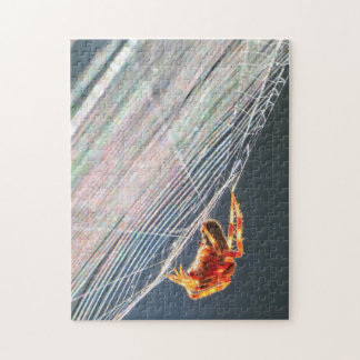 Orb Spider on Web Puzzle