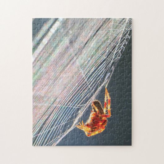 Orb Spider on Web Puzzle (Vertikal)