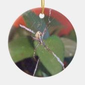 Orb Spider Ornament (Vorne)
