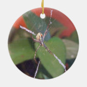Orb Spider Ornament (Hinten)