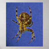 Orb Spider Poster (Vorne)