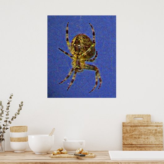 Orb Spider Poster (Küche)