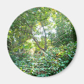 Orb Spider Web - Magnet (Vorne)