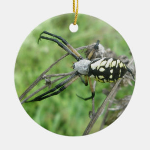 Orb Weaver Argiope aurantia Weihnachtsschmuck