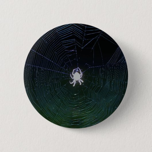 Orb Weaver Spider in der Nacht Button (Vorderseite)
