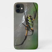 Orb Weaver Spider Nah up Phone Case (Rückseite)