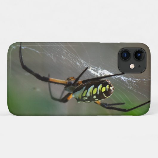Orb Weaver Spider Nah up Phone Case (Rückseite (Horizontal))