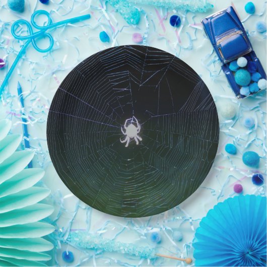 Orb Weaver Spider Paper Plate Pappteller (Party)