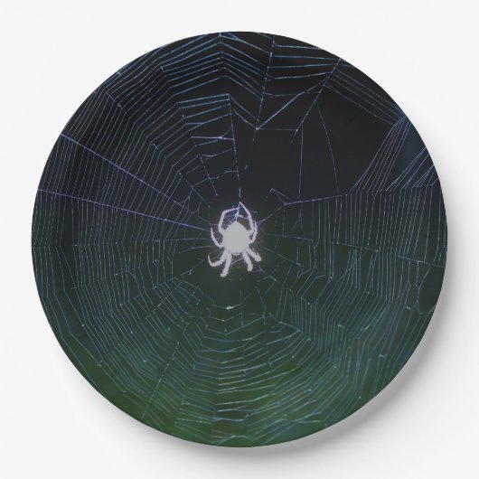 Orb Weaver Spider Paper Plate Pappteller (Vorderseite)