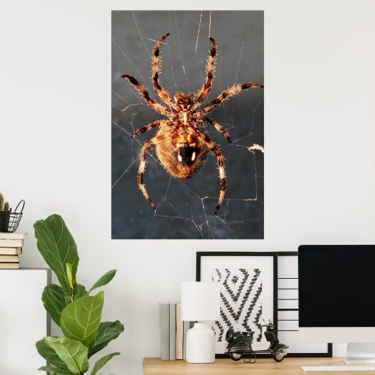 Orb Weaver Spider Poster (Heimbüro)