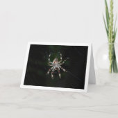 Orbflederspinne Karte (Vorderseite)