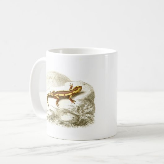 Orbigny - gepunkteter Salamander - Salamandra Kaffeetasse (Vorderseite Links)