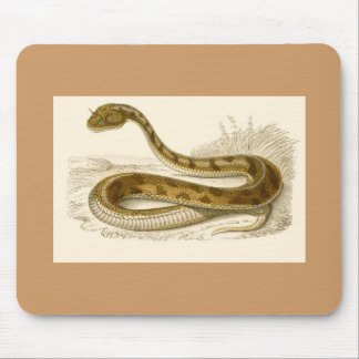 Orbigny - Horned Viper - Cerastes cornutus Mousepad