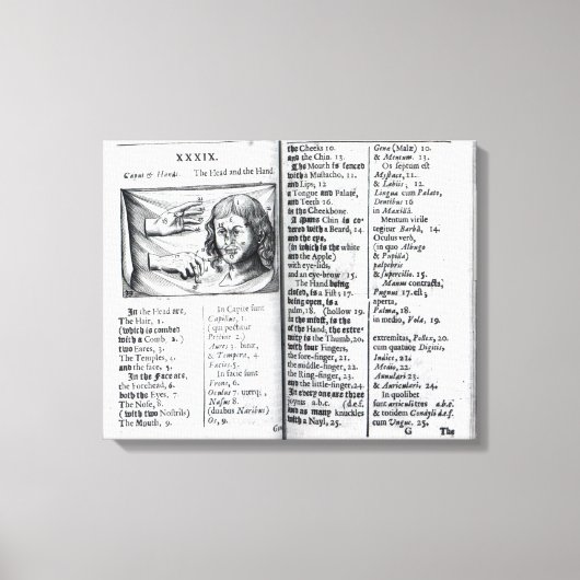 'Orbis Sensualium Pictus' Leinwanddruck (Vorderseite)