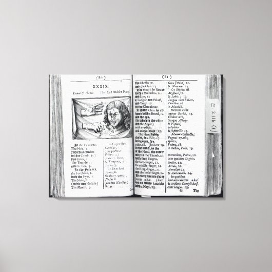 'Orbis Sensualium Pictus' Leinwanddruck (Vorderseite)