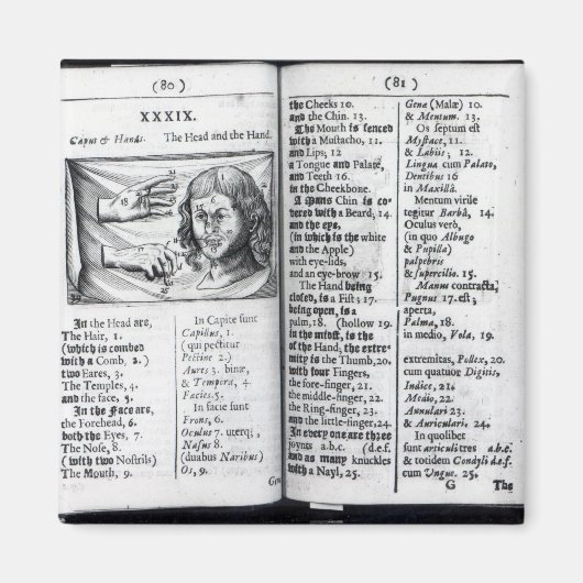 'Orbis Sensualium Pictus' Magnet (Vorne)